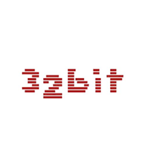 32 Bit